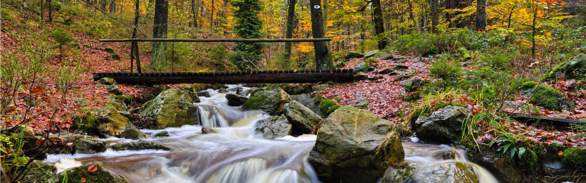 Campings zoeken in de Belgische Ardennen