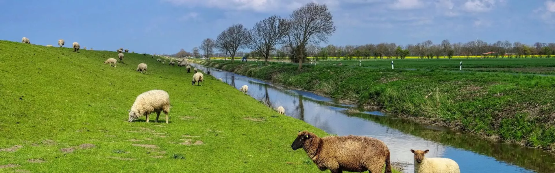 Campings bij Heerenveen