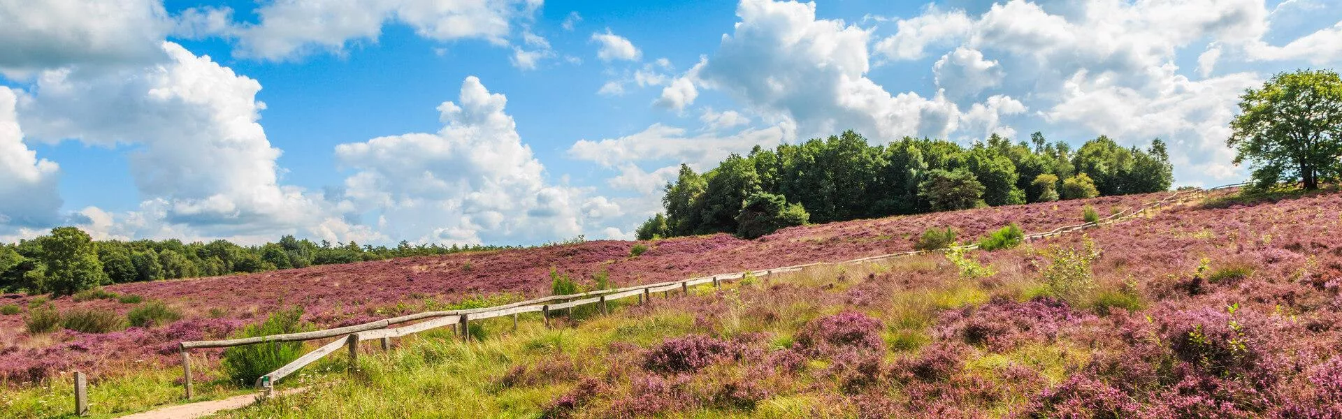 Campings bij Hoogeveen