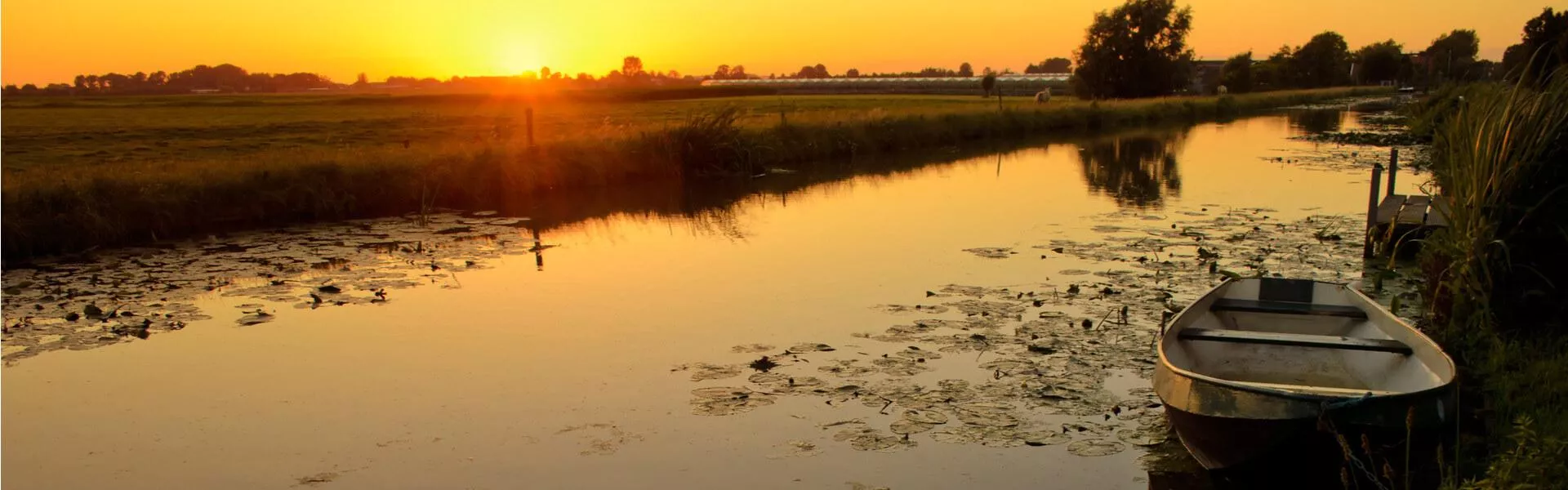 Campings zoeken in het Westland 