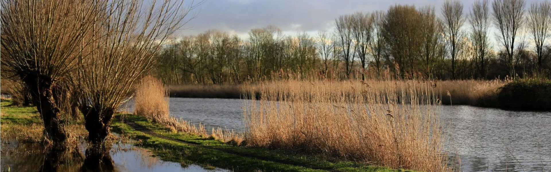 Campings bij Vlaardingen