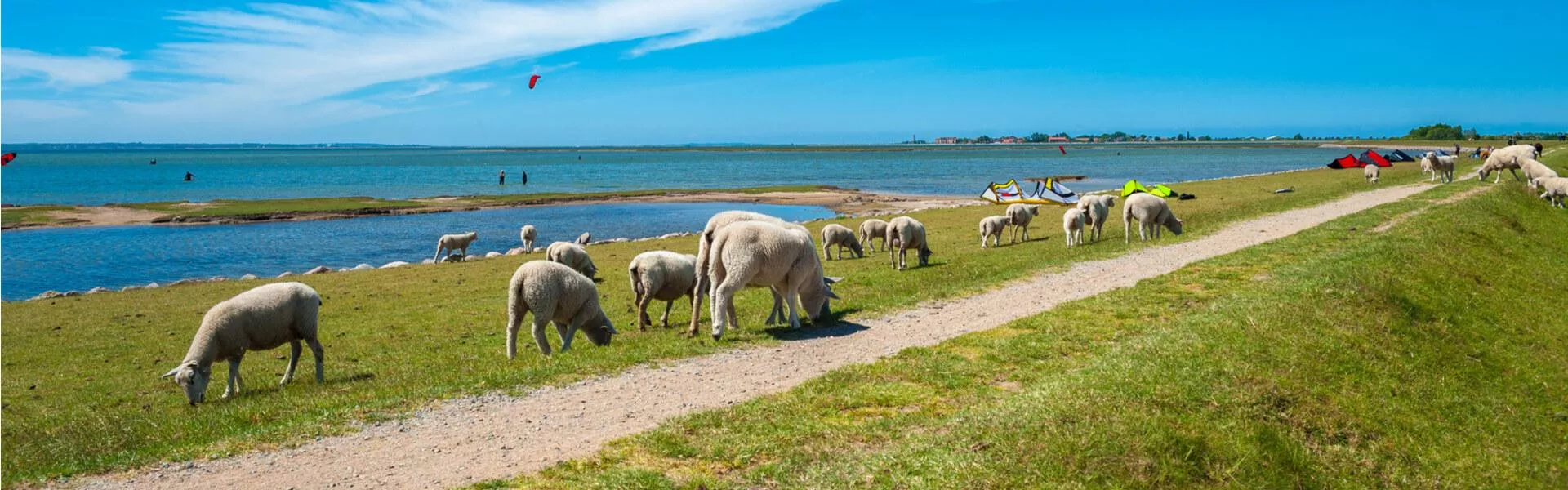 Campings in Fehmarn zoeken