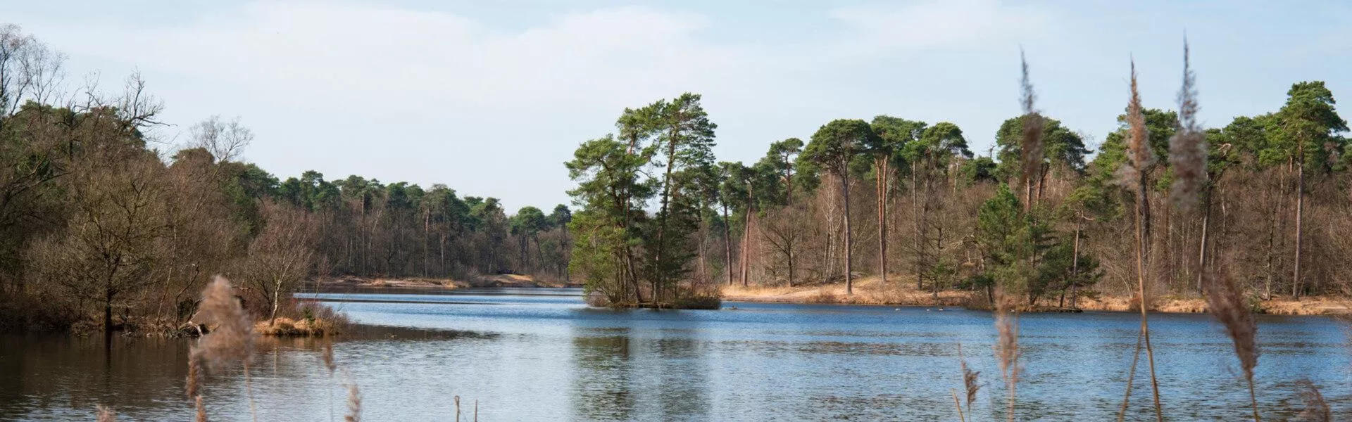 Campings bij Schijndel