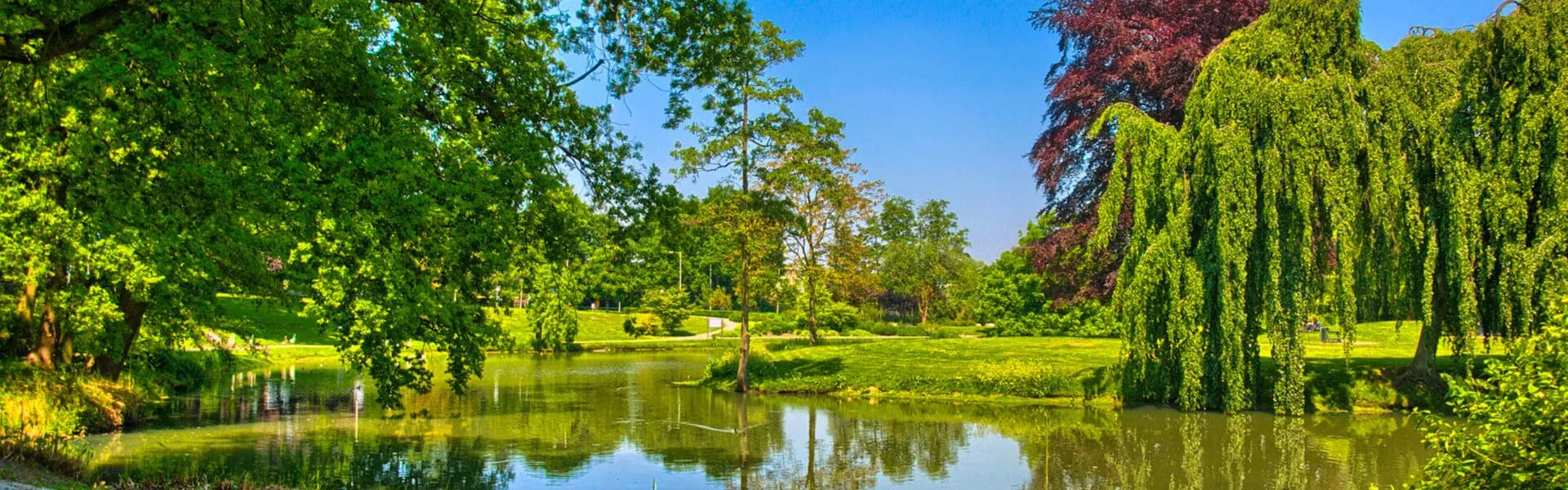 Campings bij Bergen op Zoom