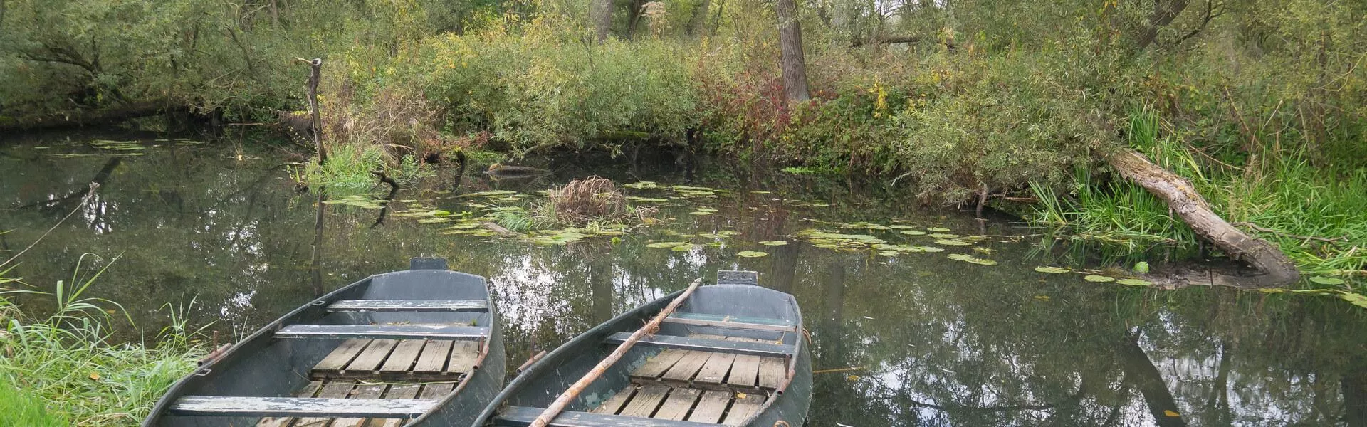 Campings zoeken in de Biesbosch 