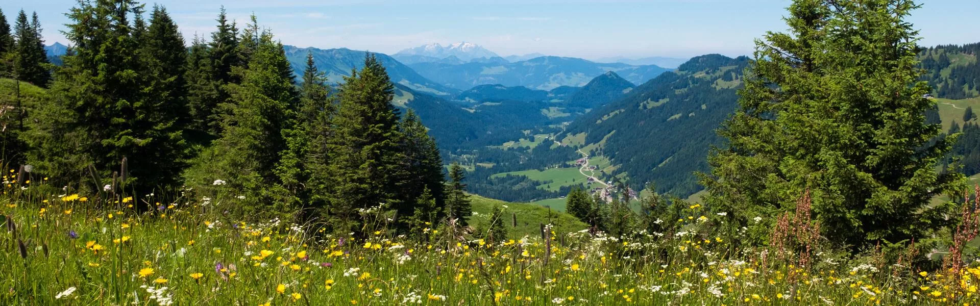 Campings in de verrassende Allgäu