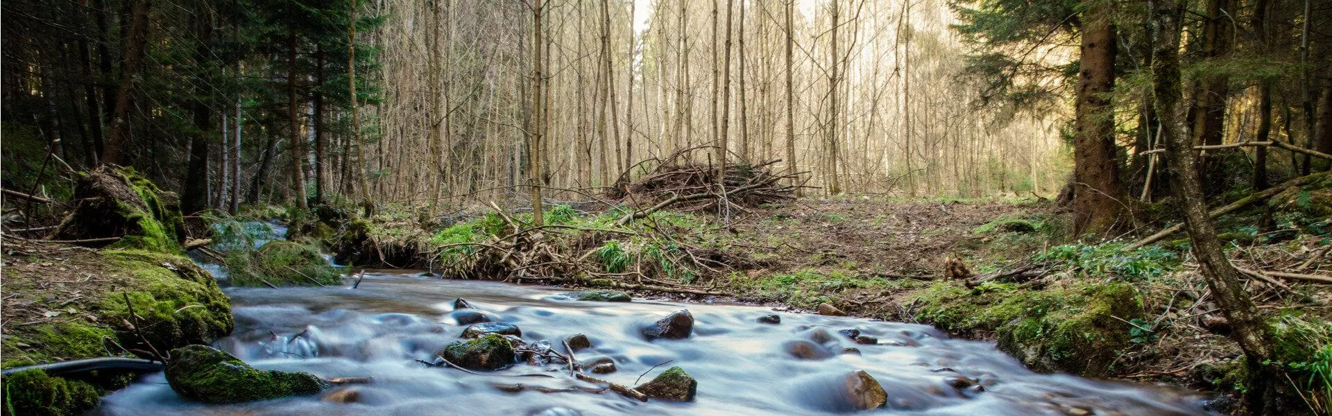 Campings in het Beierse Woud zoeken