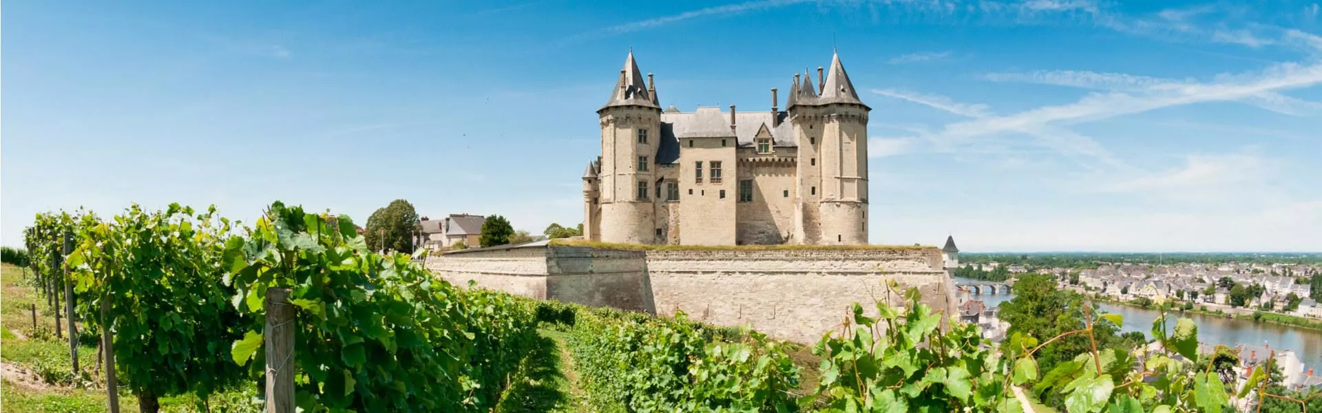 Campings in Montjean-sur-Loire zoeken