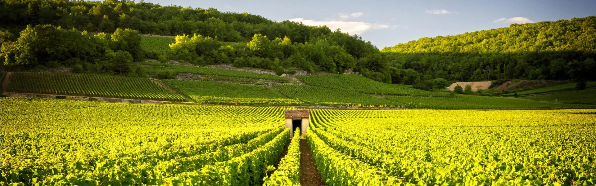 Campings in Beaune zoeken