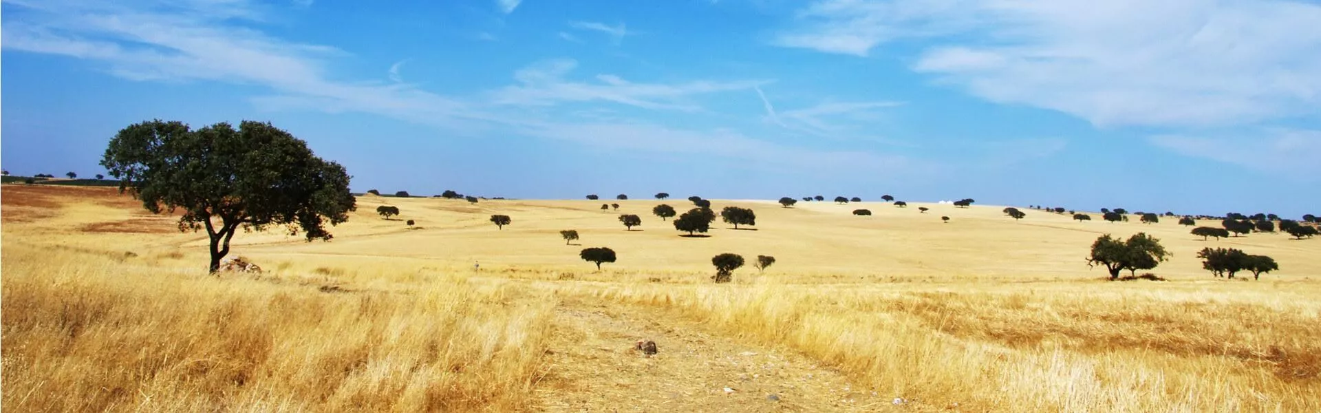 Alentejo