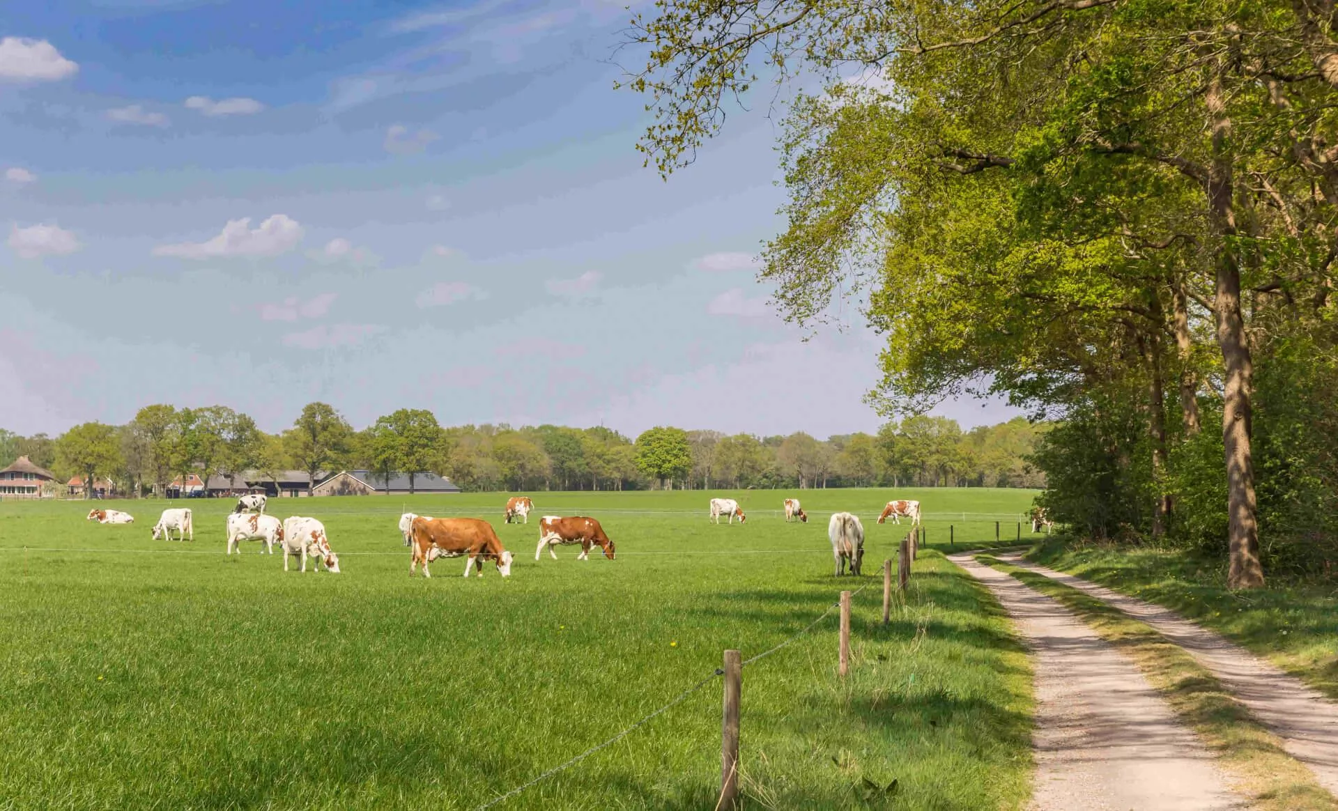 Vijf keer kamperen bij de boer in Overijssel