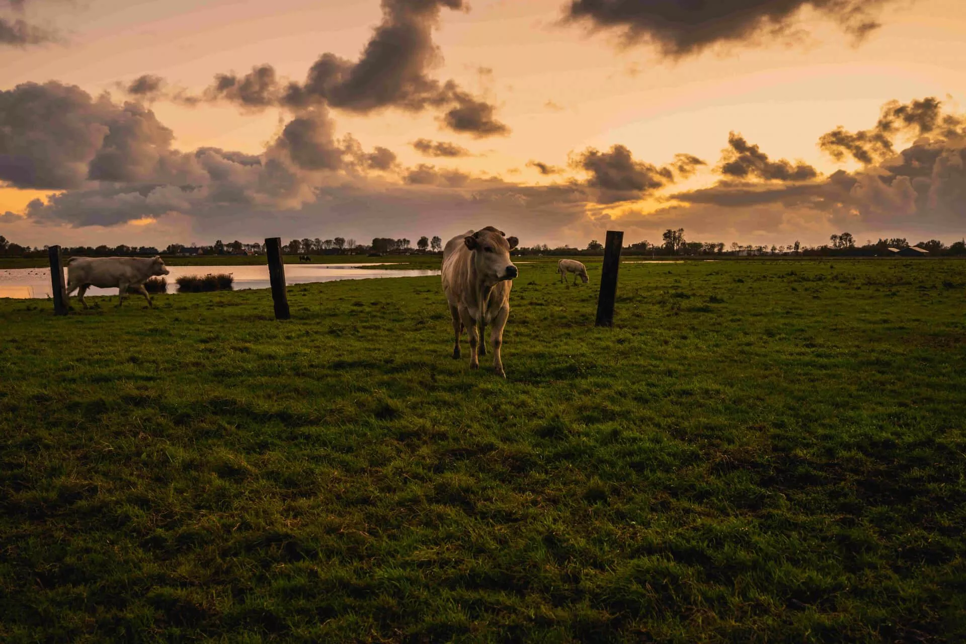 Vijf keer kamperen bij de boer in Zeeland