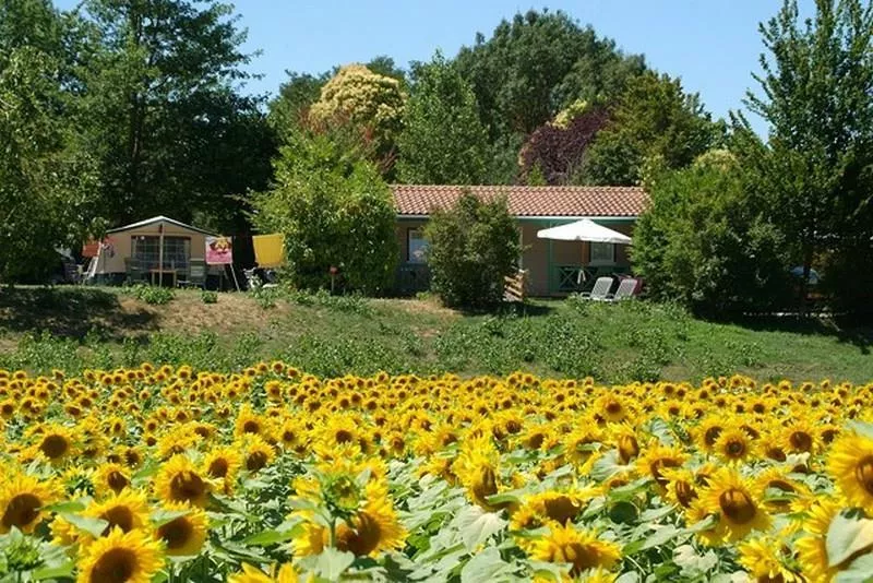 Camping Le Camp de Florence -