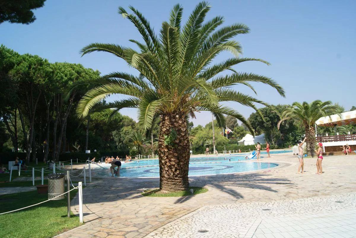 Baia Domizia Camping Village -