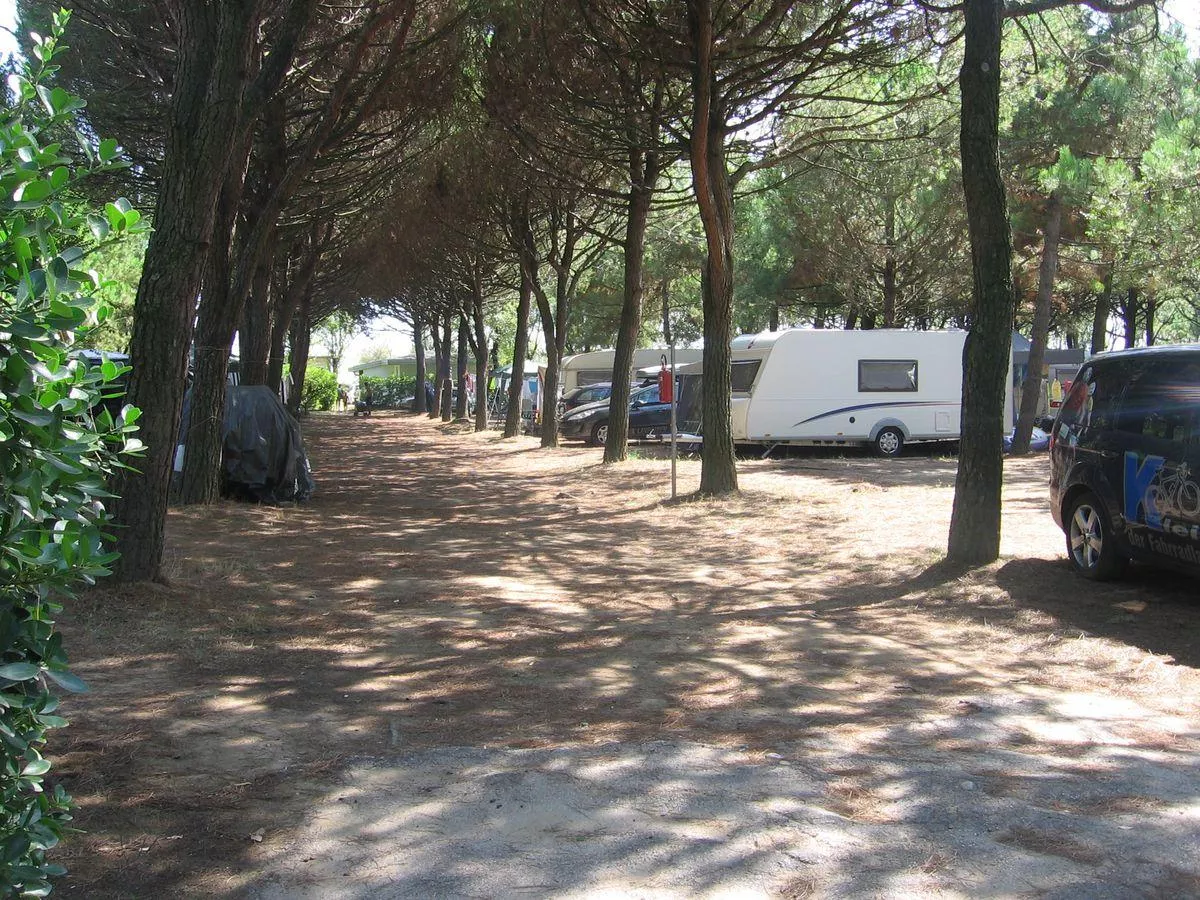 Camping CaSavio -