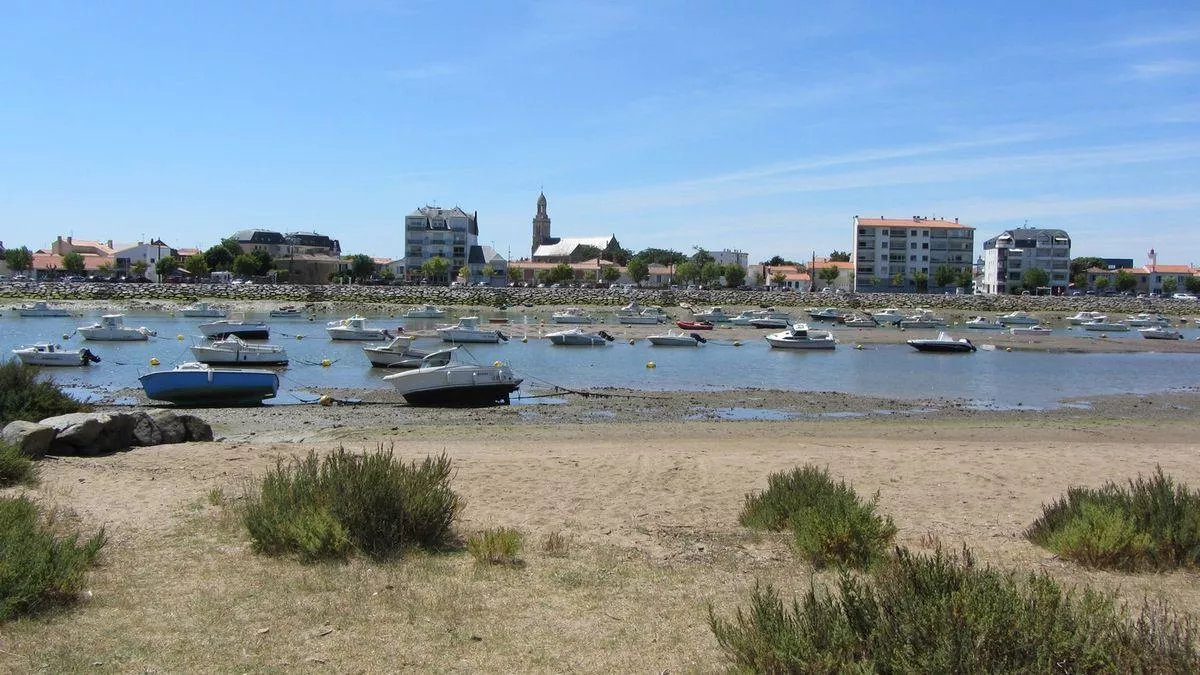 Camping Village de la Guyonnière -