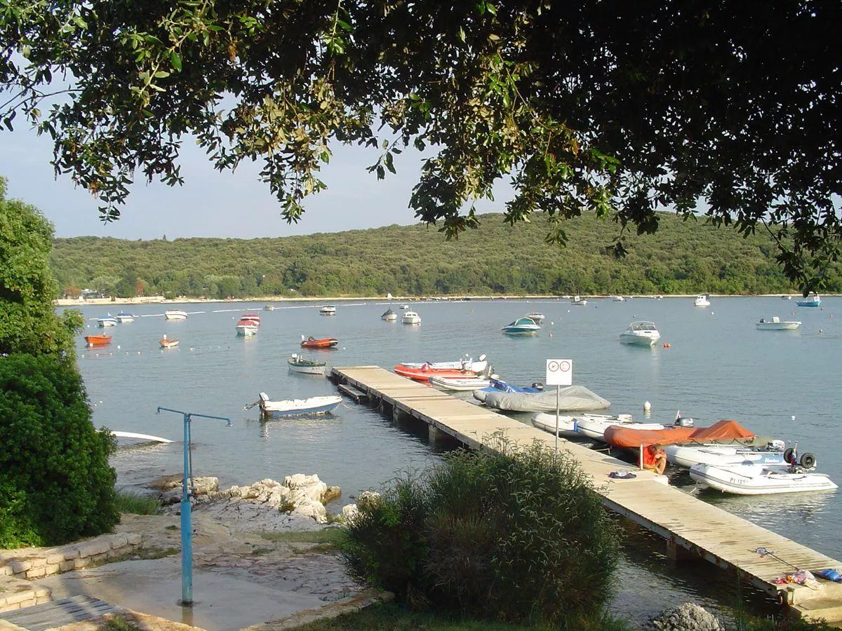 Camping Veštar -