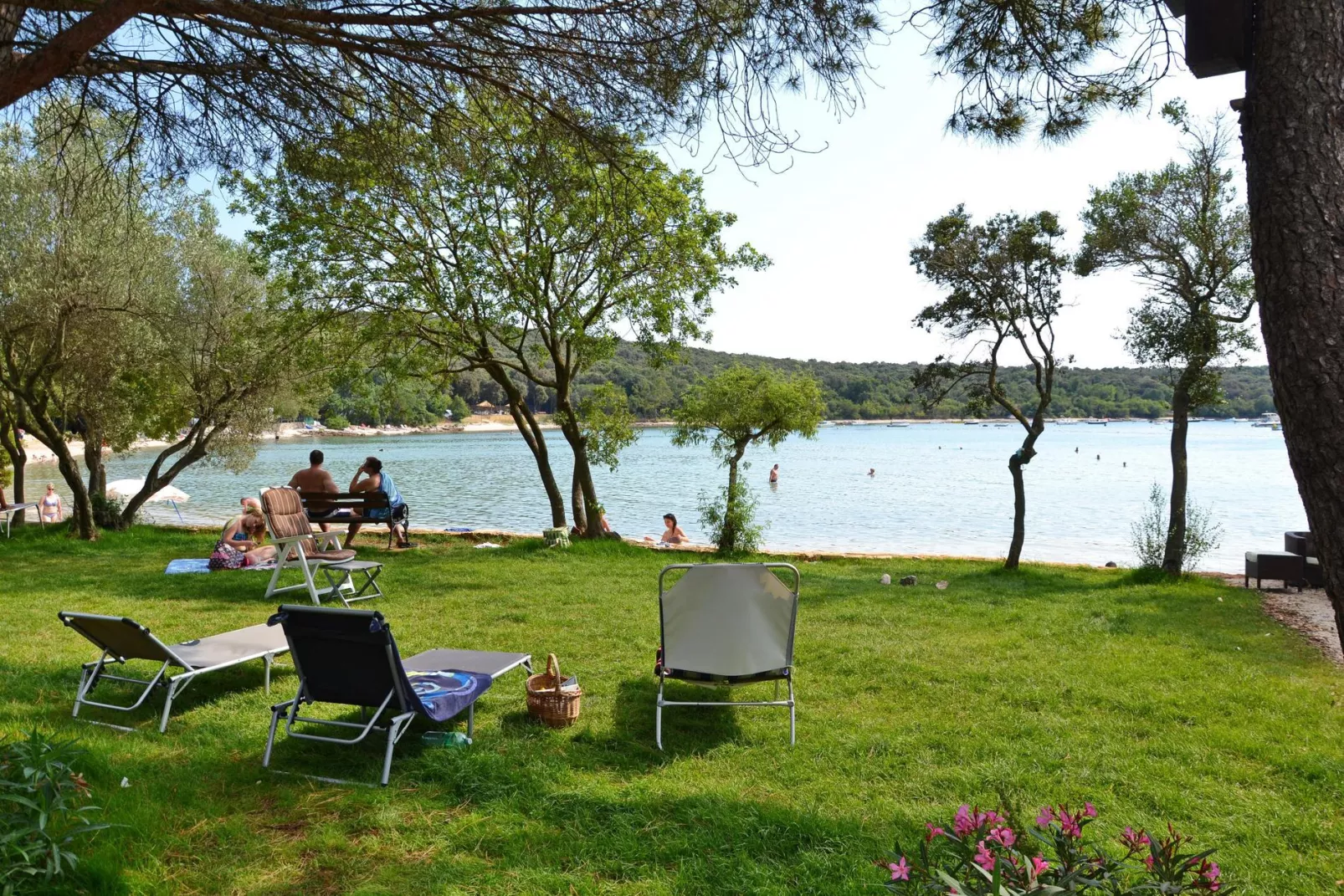 Camping Veštar -