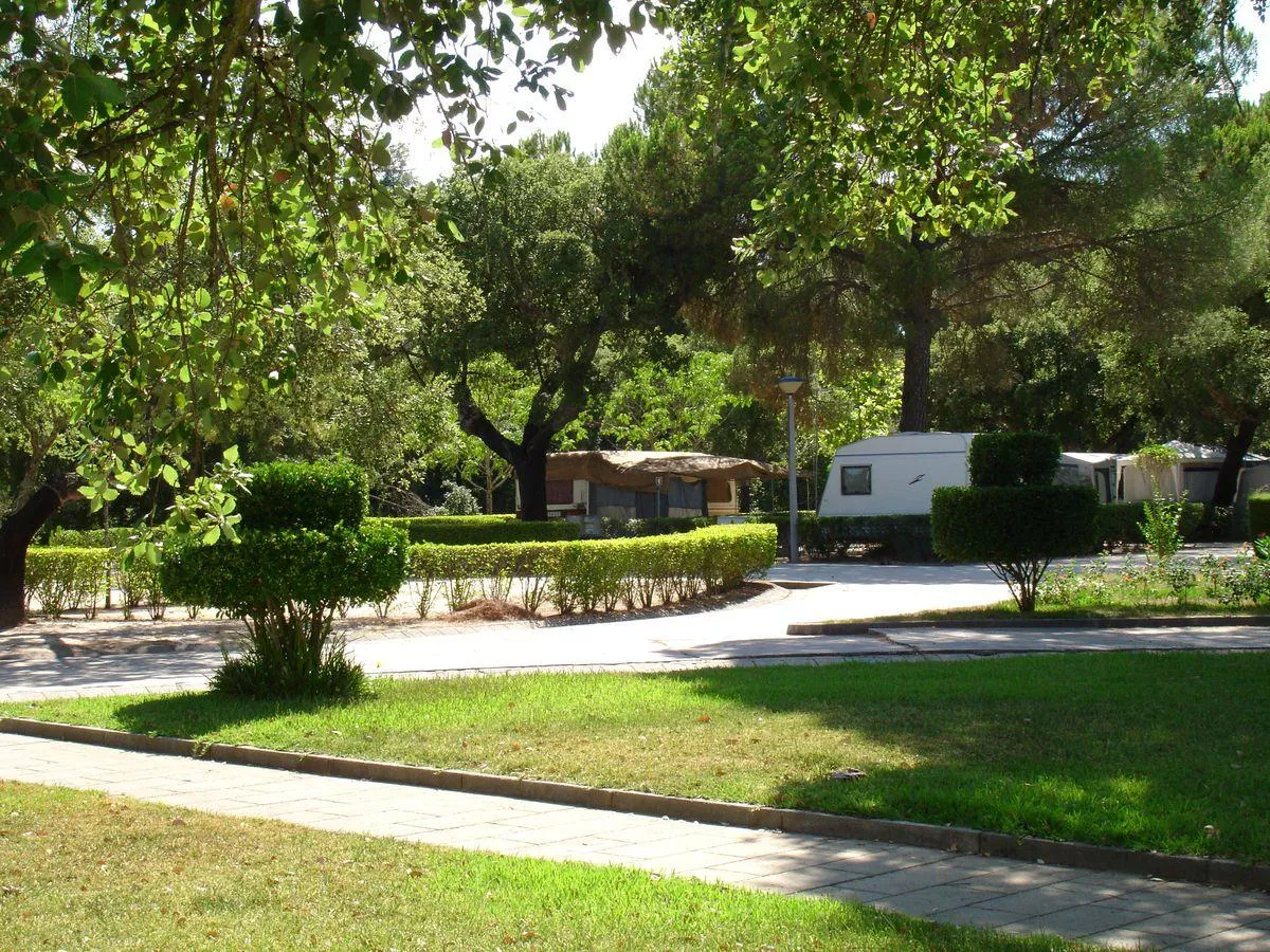 Camping Orbitur Montargil