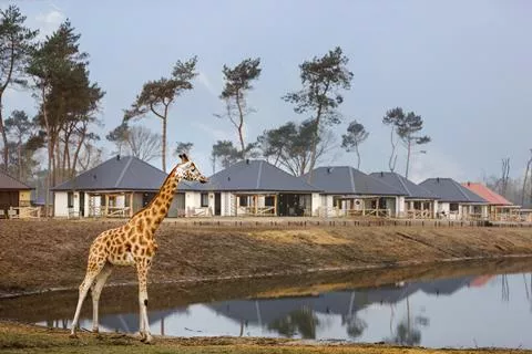 Lake Resort Beekse Bergen