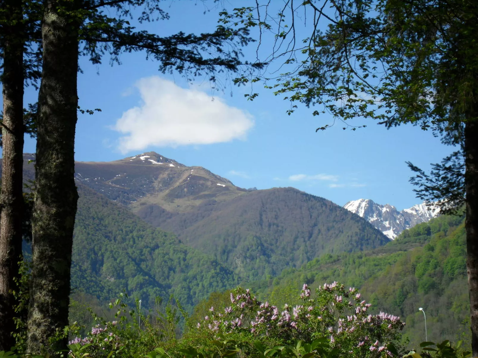 Camping Le Haut Salat 