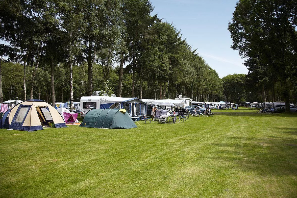 Eurocamping Vessem