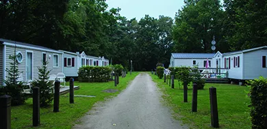 Camping Floreal Het Veen