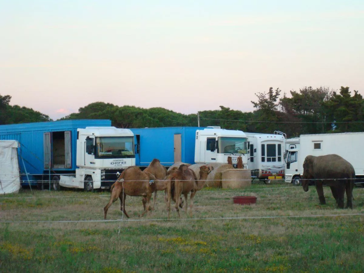 Camping Toscana Bella