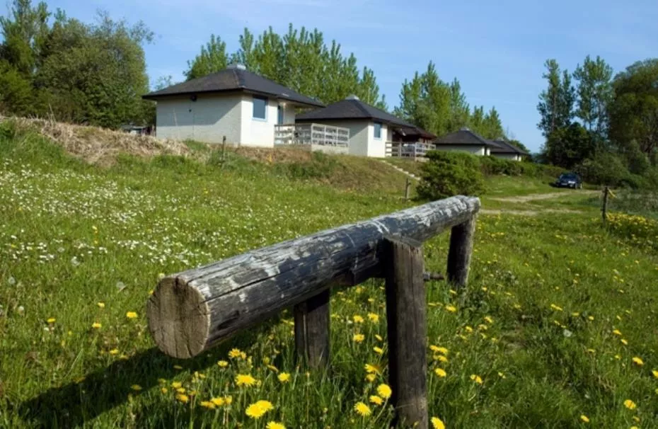 Løgballe Camping 