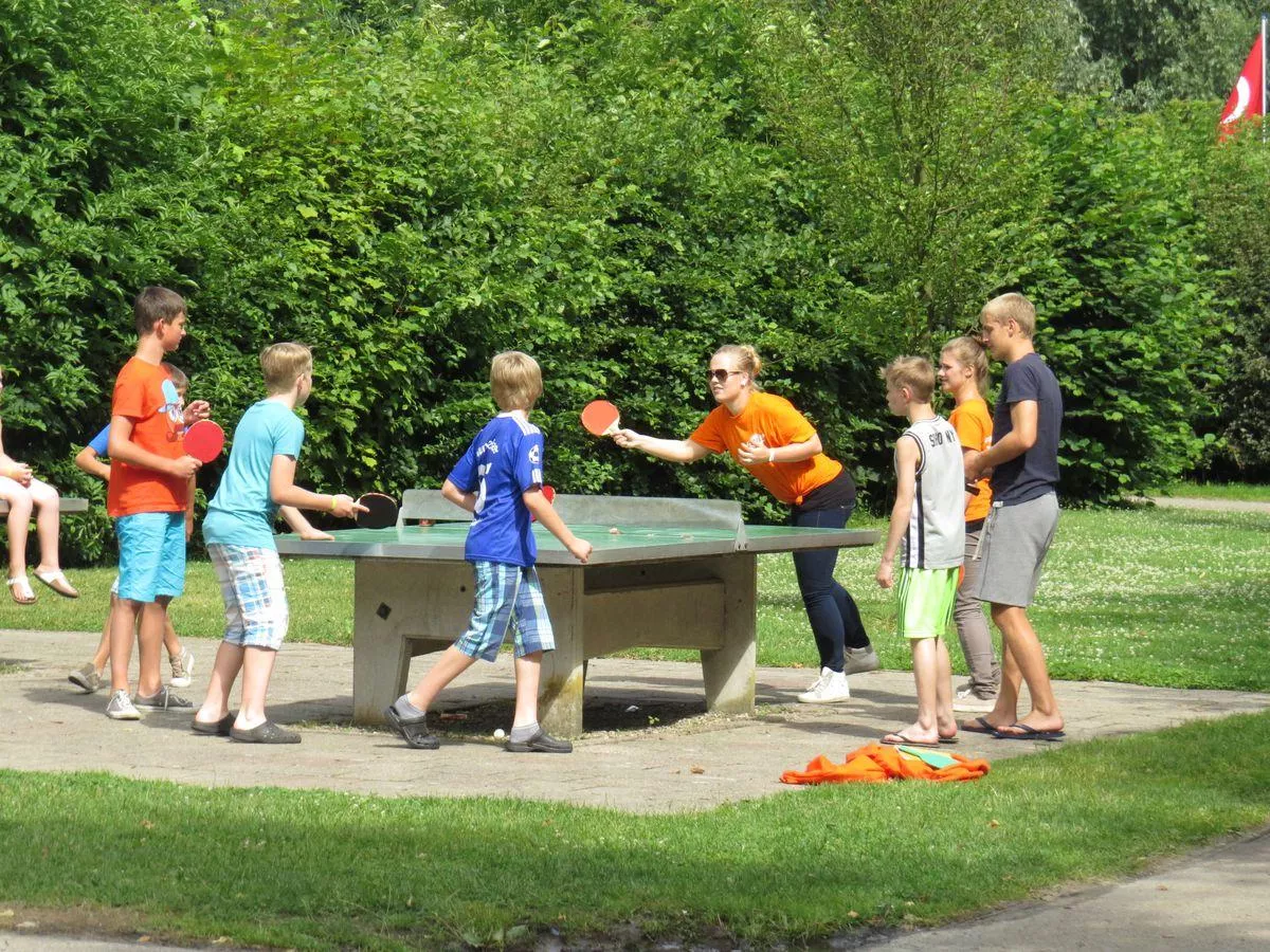 Camping Recreatiecentrum De Vogel-