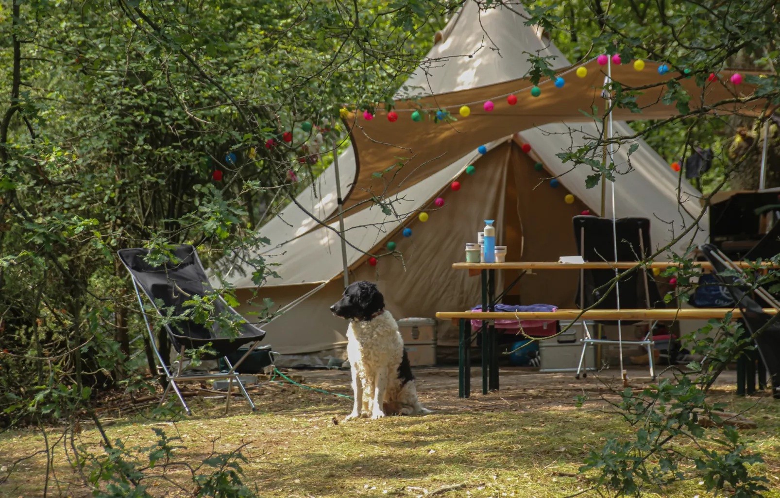 Landgoedcamping Het Meuleman