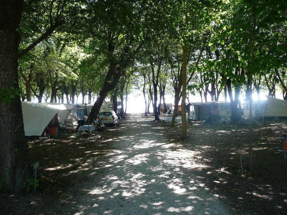 Camping Roma Flash -