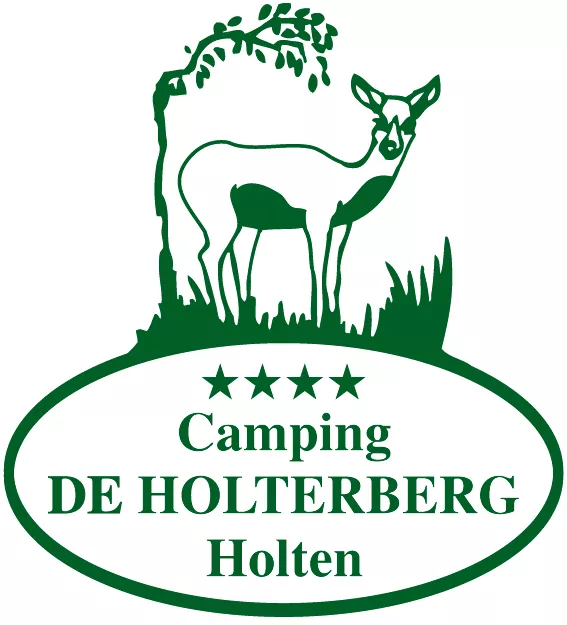 Ardoer camping De Holterberg