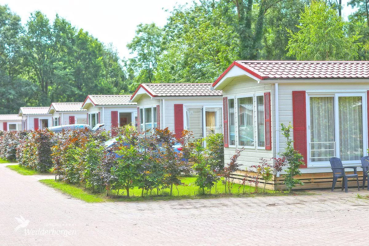 Camping Wedderbergen-