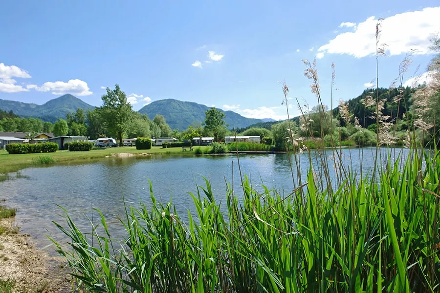 Sonnencamp am Gösselsdorfersee