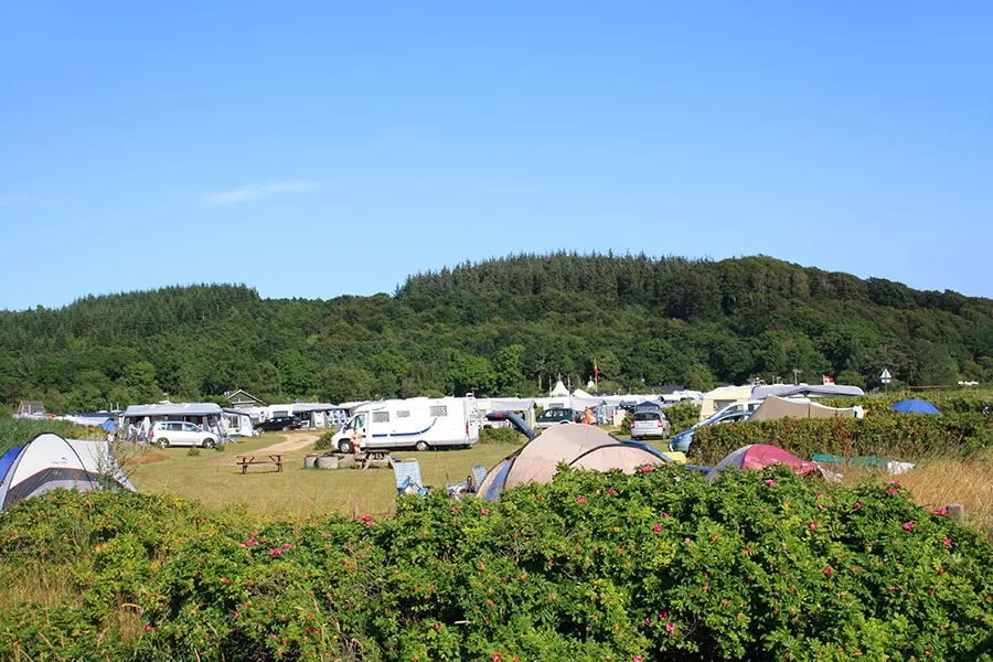 Rosenvold Strand Camping 