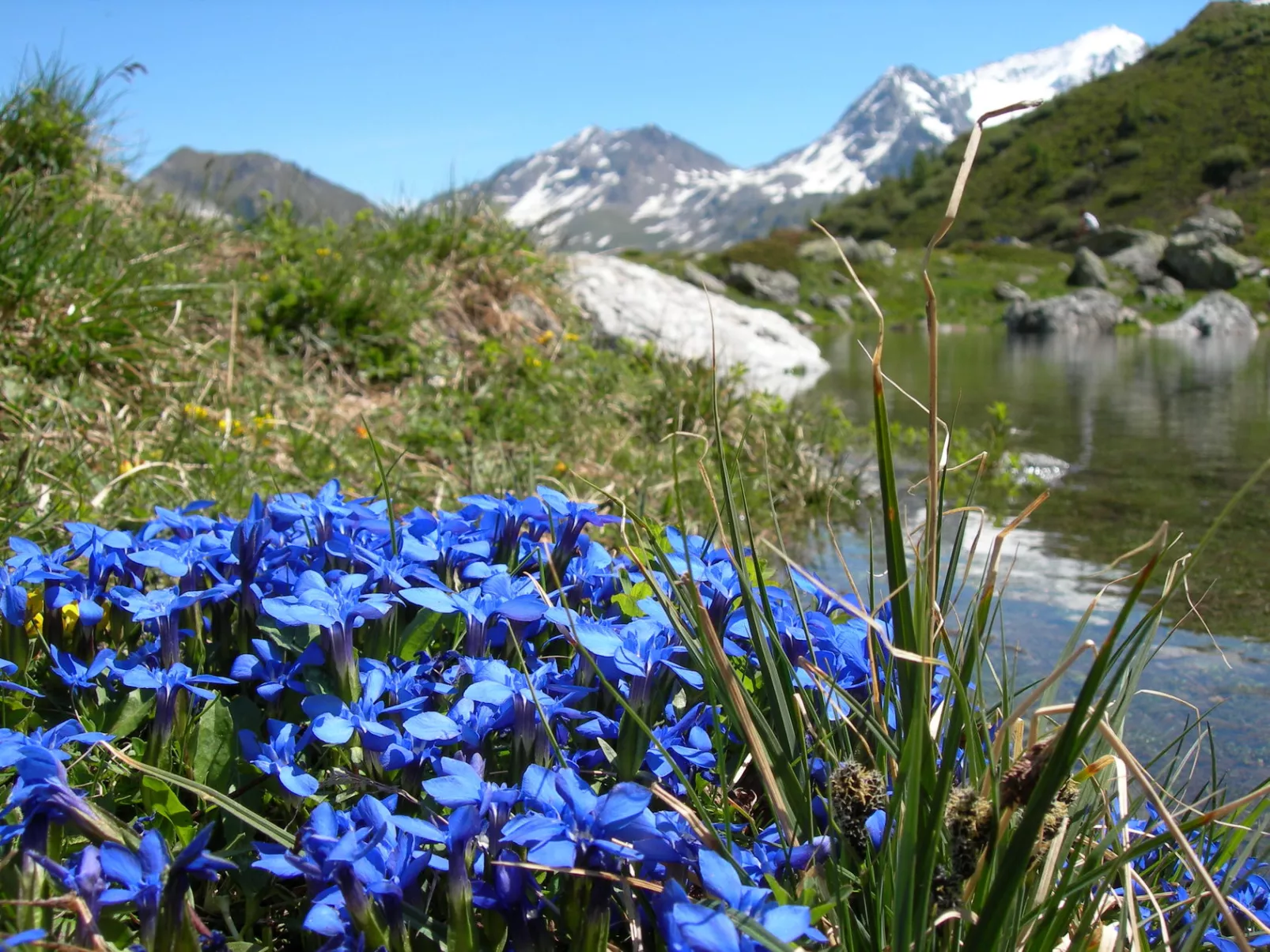 Camping lEden de la Vanoise 