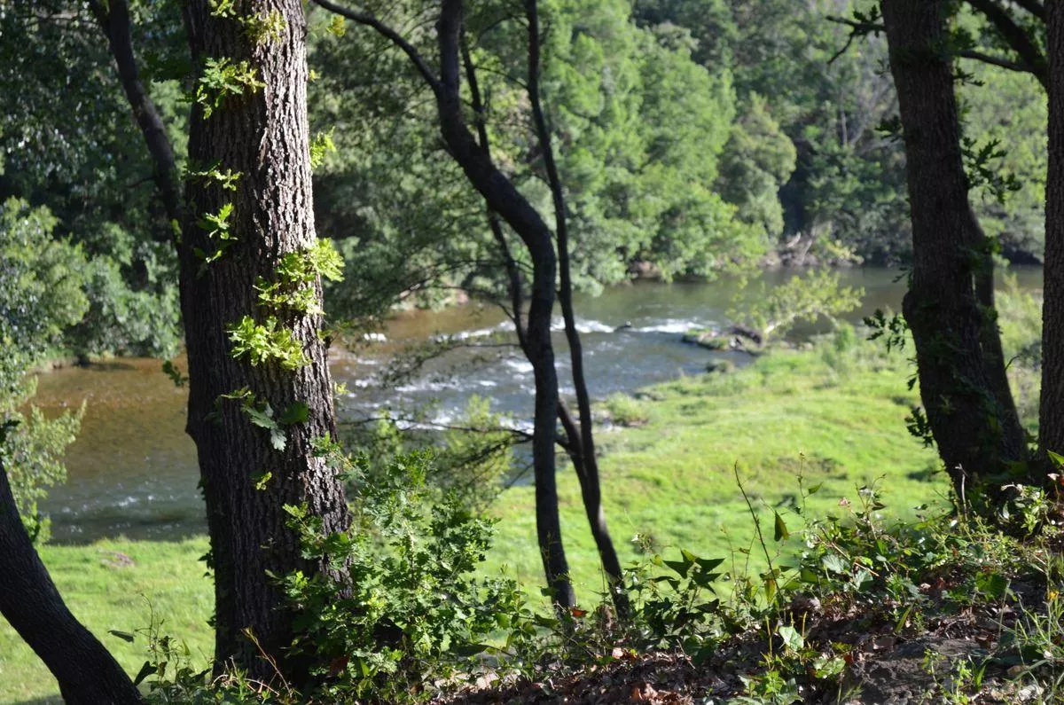 Camping La Vallée Verte 