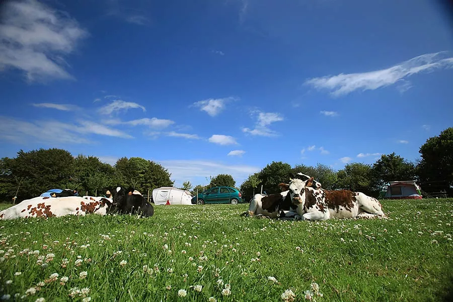 Camping De la Ferme de Croas-Men