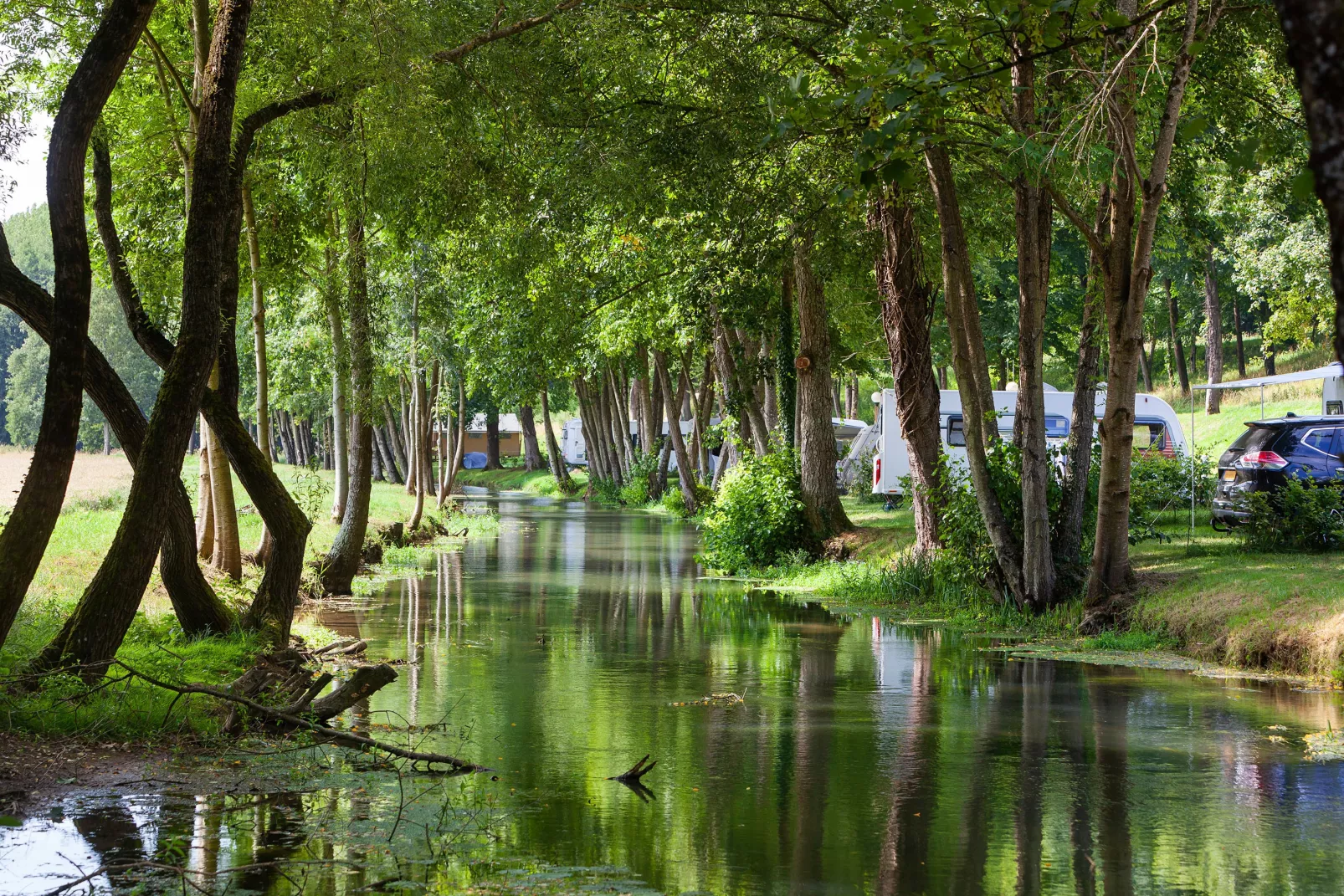 Camping du Buisson 