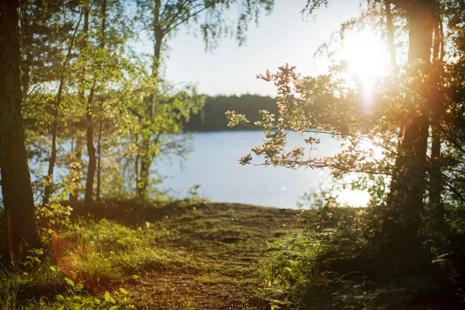 First Camp City-Stockholm