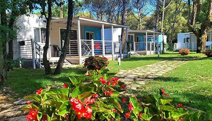 Baia Domizia Camping Village -