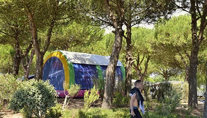 Flower Camping Le Bois dAmour -