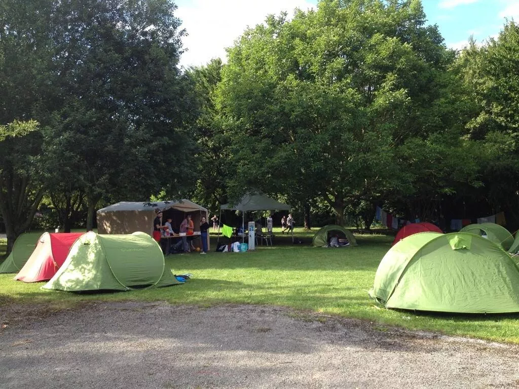 Flower Camping Les Marguerites