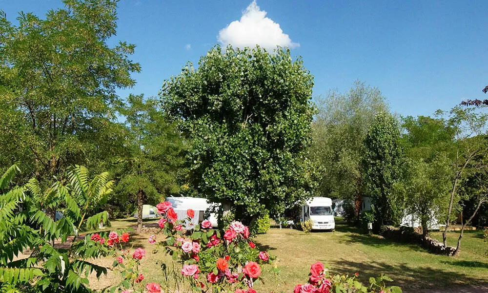 Camping LOrée du Lac 