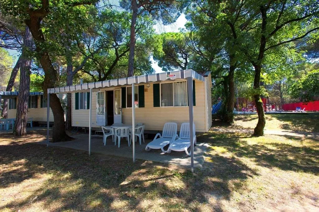 Belvedere Pineta Camping Village -