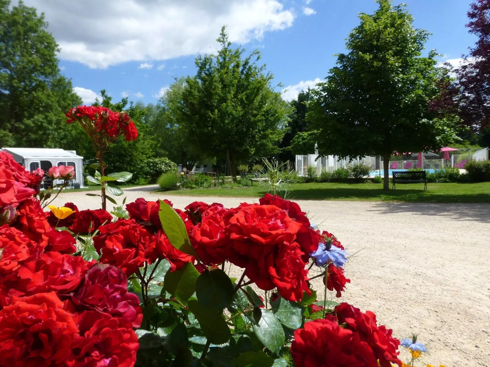 Camping Les Ripettes 