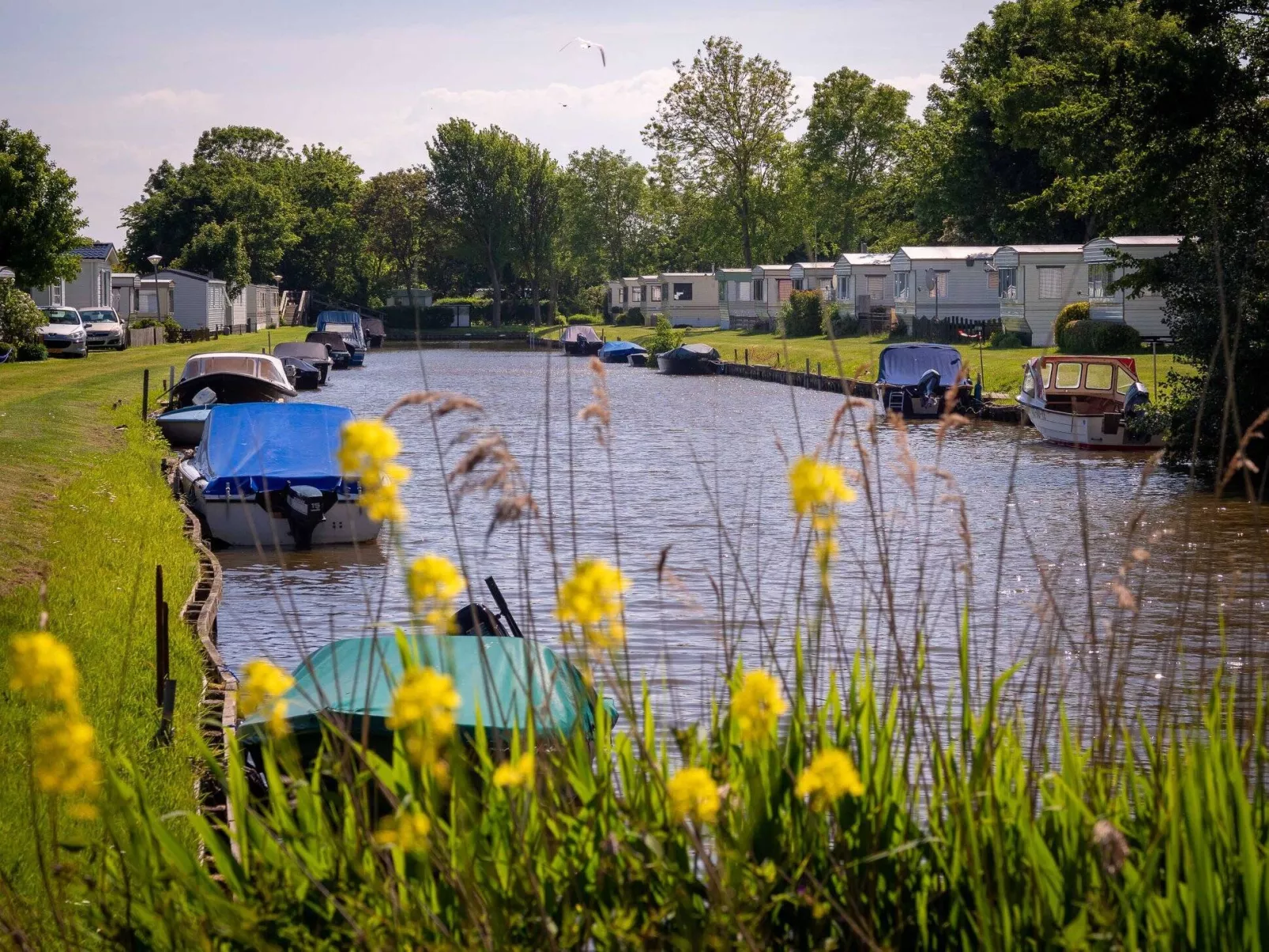 Camping De Zeehoeve