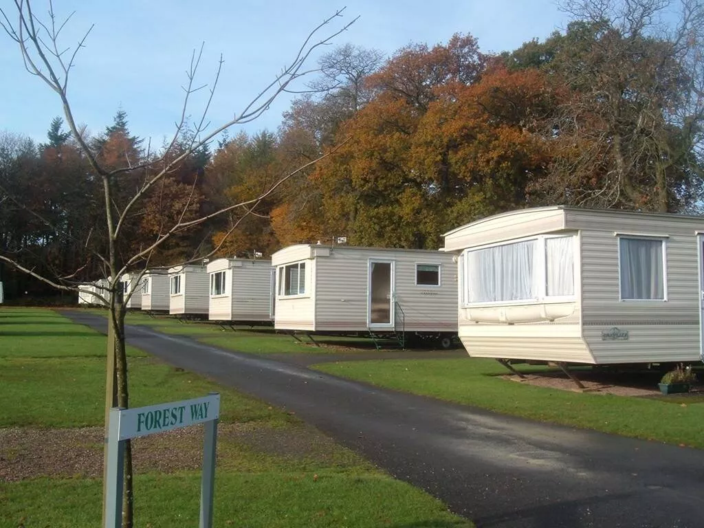 Forest Glade Holiday Park 