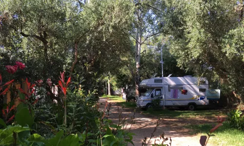 Camping Kato Alissos 